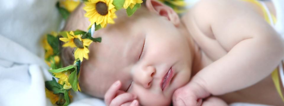 Baby Portraits